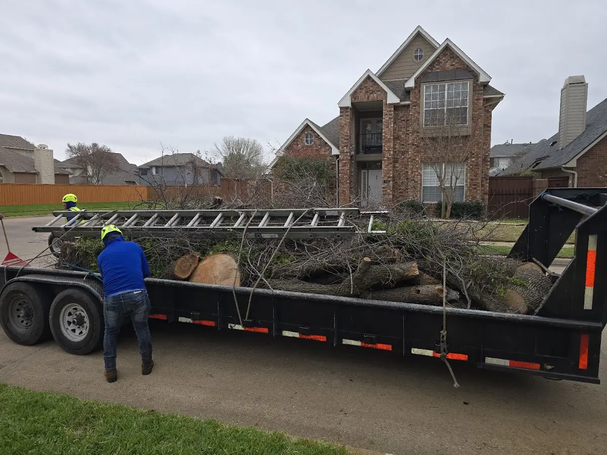 Expert Lot Clearing with proper safety equipment in Fork
